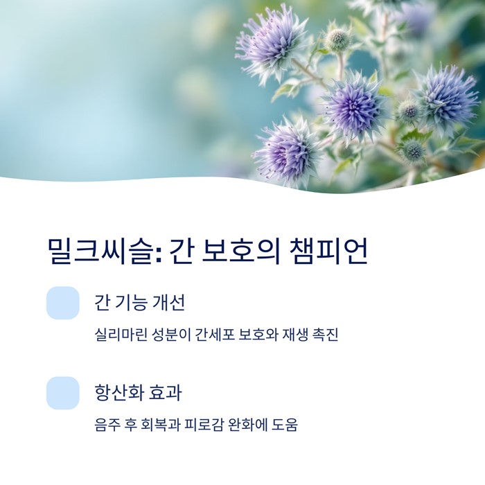 간 건강에 좋은 영양제 추천, 간 기능 개선 요약 이미지