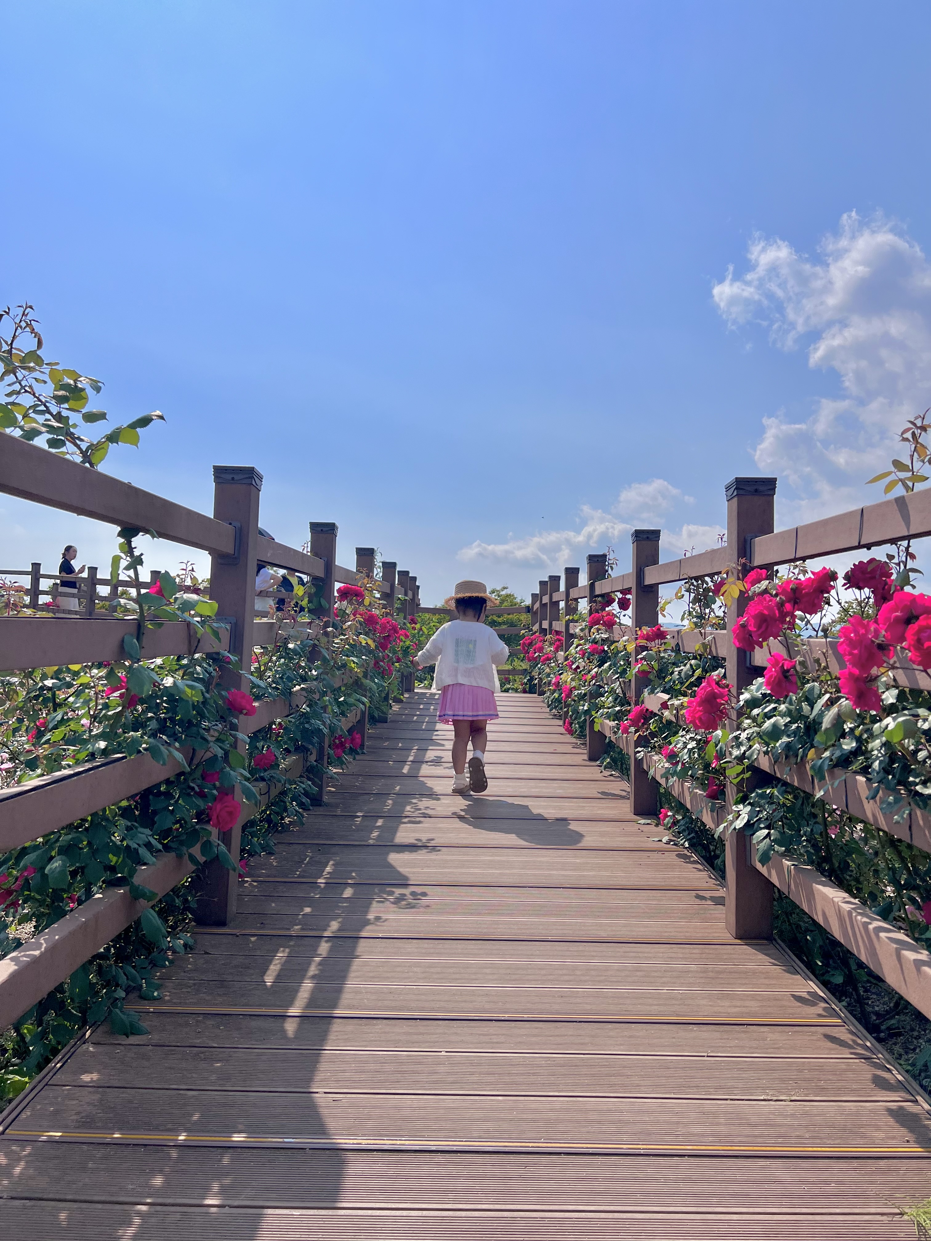 해운대 수목원 장미원, 해운대수목원, 장미명소, 노란장미, 빨간장미, 분홍장미, 장미포토존
