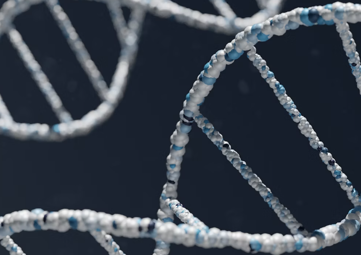 칼슘 부족 증상 : 호르몬