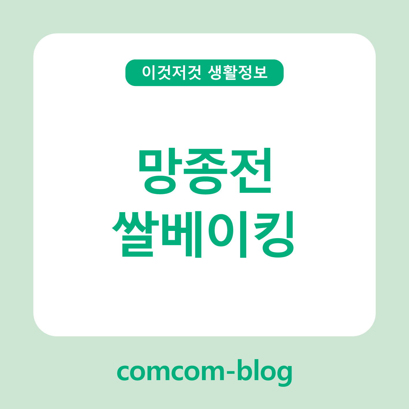 🌾전통의 숨결, 망종전 쌀베이킹으로 만드는 건강한 한 끼
