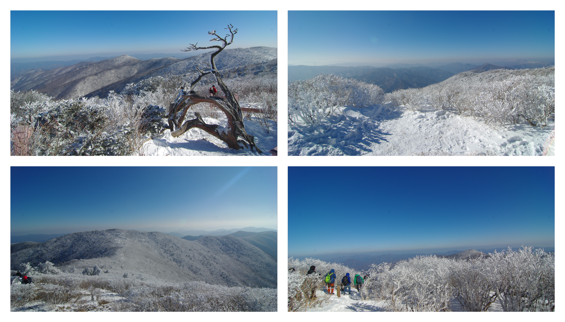 겨울 태백산