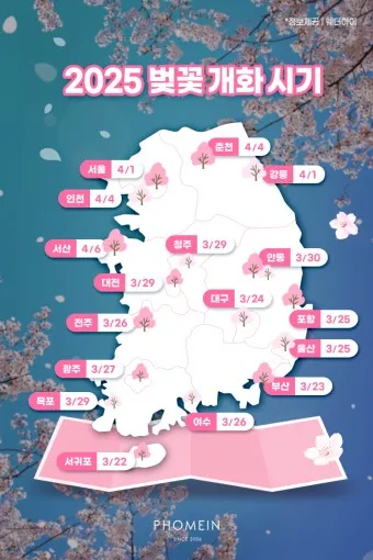 벚꽃 개화 실시간 확인 cctv_7