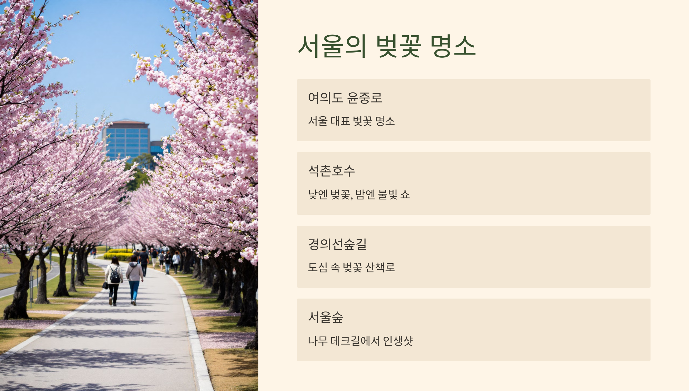 서울의 벚꽃 명소