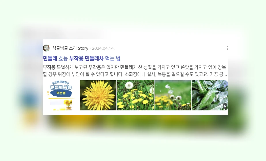 민들레차 부작용_2_subsection