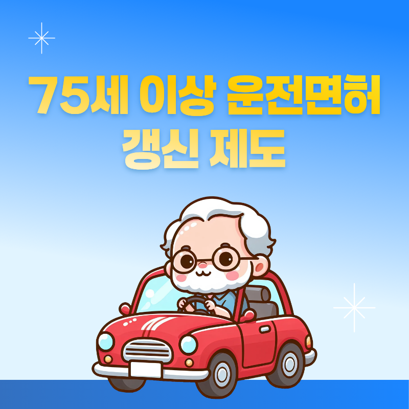 75세 이상 운전면허 갱신 제도