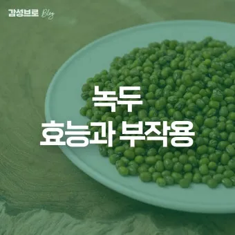 녹두 효능 부작용 녹두죽 끓이는법 칼로리 안내_17