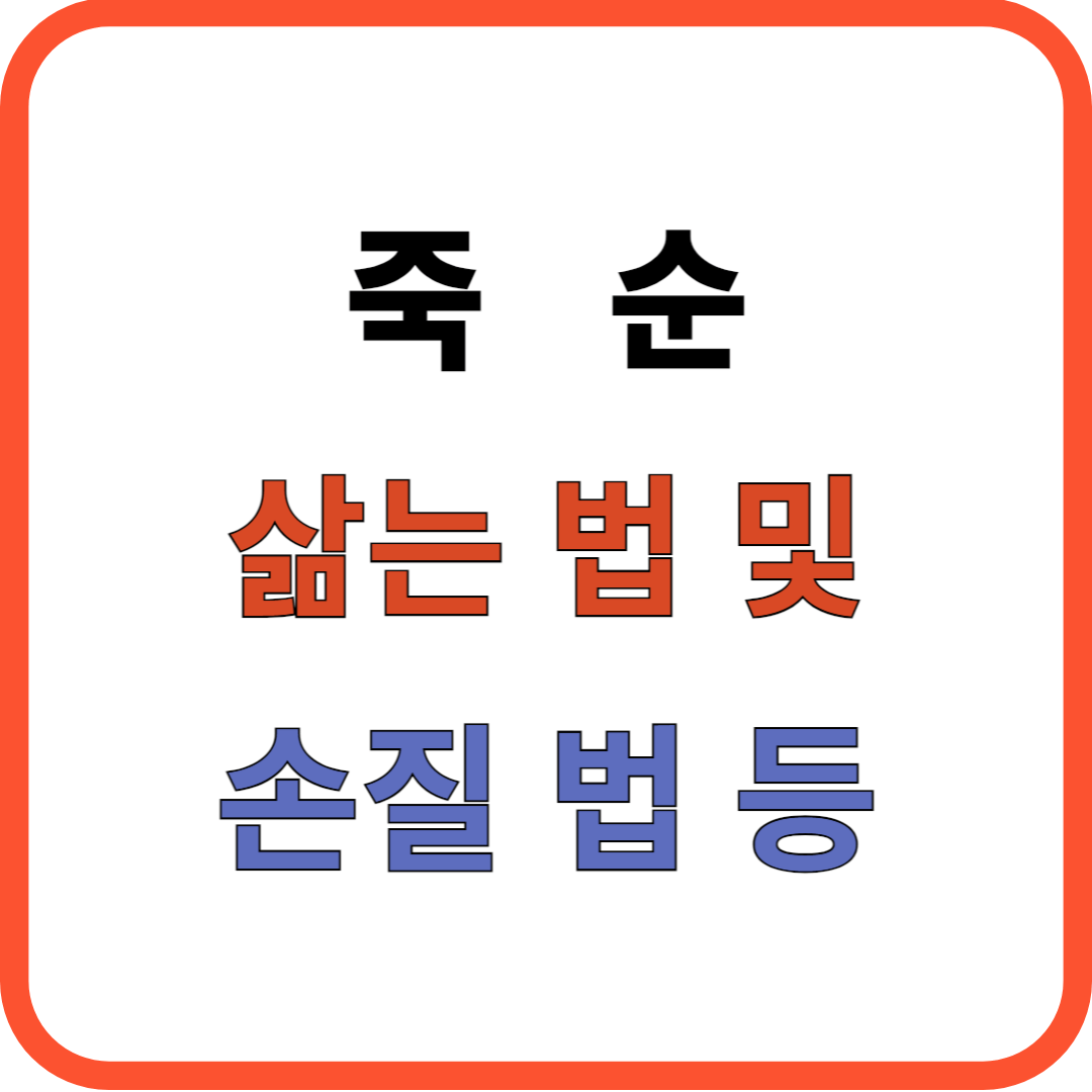 죽순 삷는 법 및 손질 법