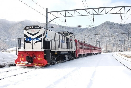 분천 산타마을&rarr;승부역 백두대간 협곡열차+트레킹 완전정복 사진