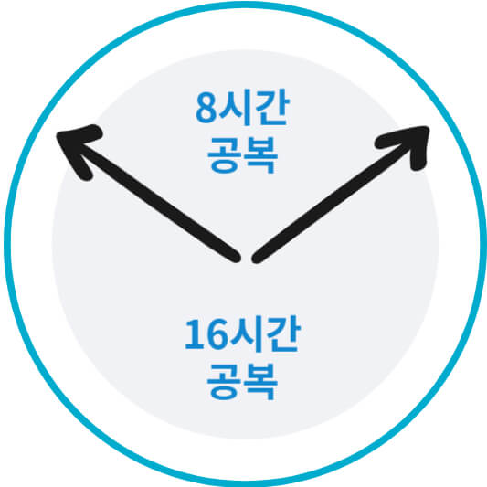 16/8 간헐적 단식