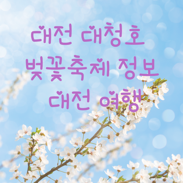 대전 대청호 벚꽃축제 정보 대전 여행