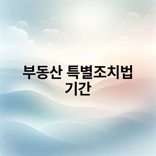 부동산 특별조치법 기간