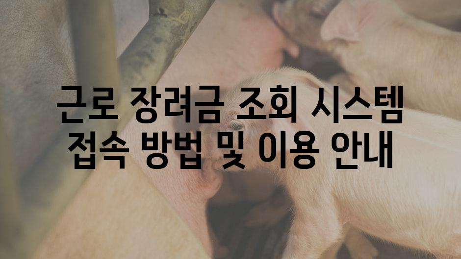 근로 장려금 조회 시스템 접속 방법 및 이용 안내