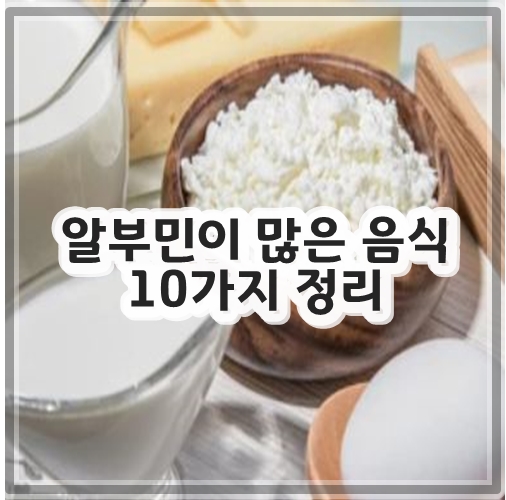 알부민이 많은 음식 10가지 정리