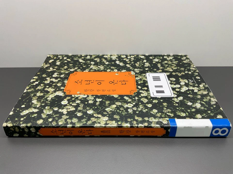 한강작가의 소설 소년이 온다.
검은색 바탕에 흰색 안개꽃이 있음.