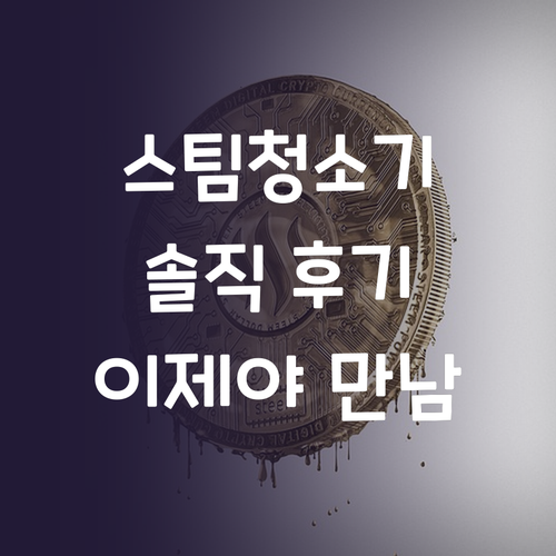 홈앤아트 퓨어 스팀청소기, 왜 이제야..