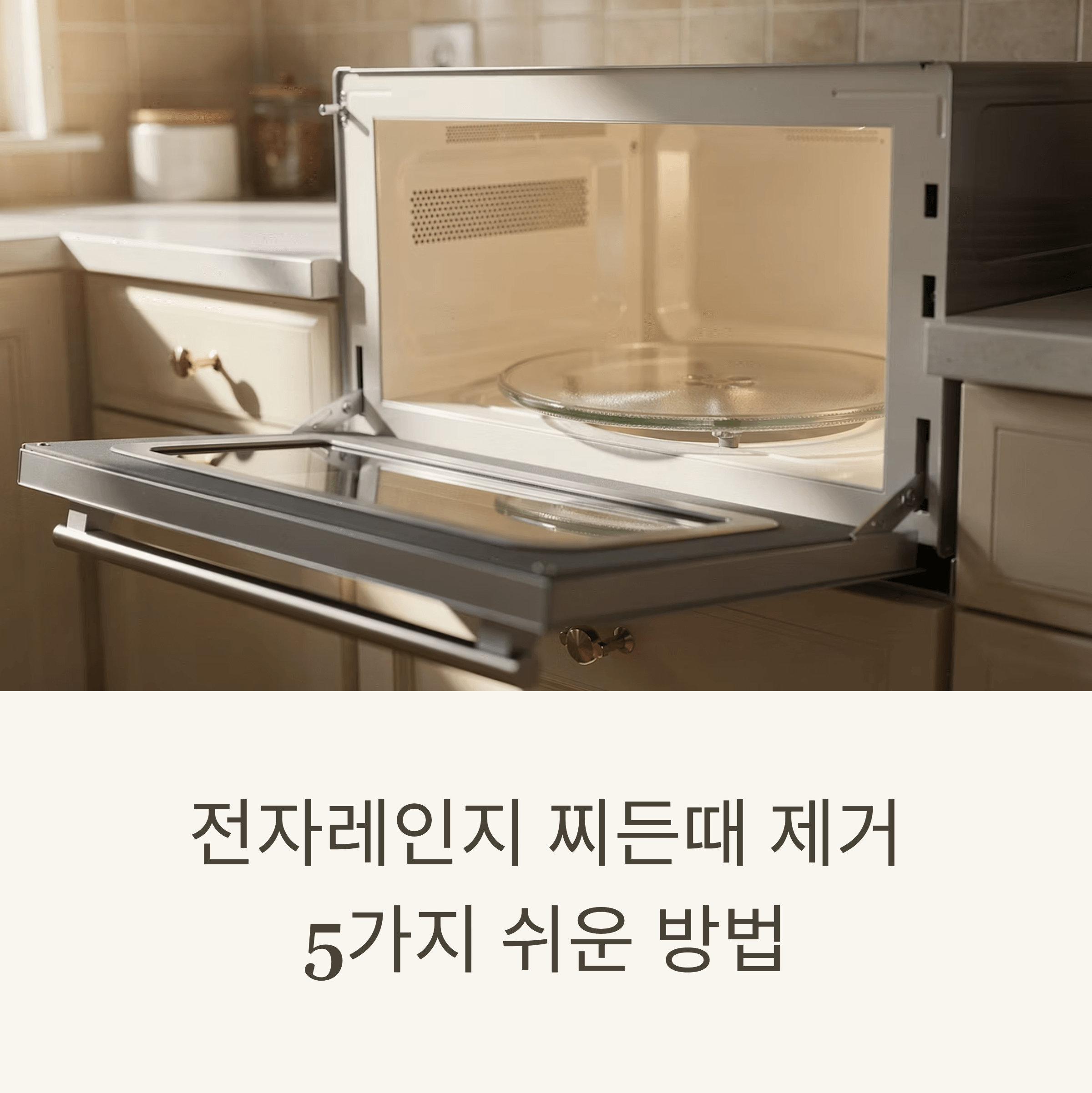 전자레인지 찌든때 제거를 위한 5가지 쉬운 방법