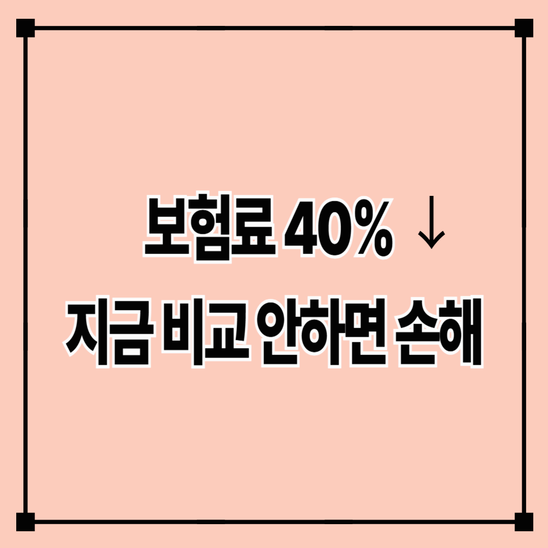 자동차 보험 비교