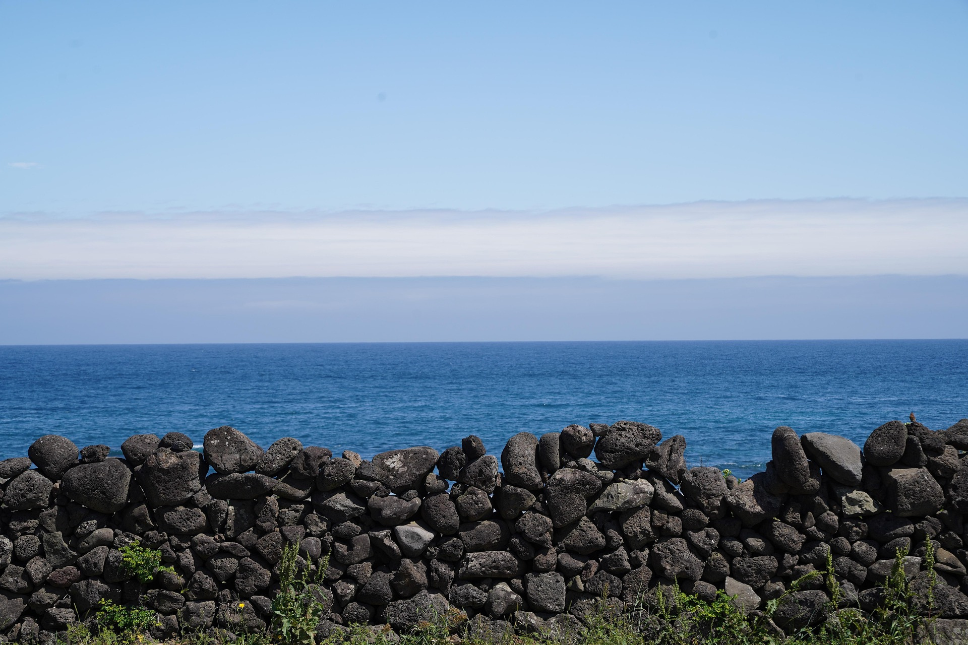제주도 관련 사진