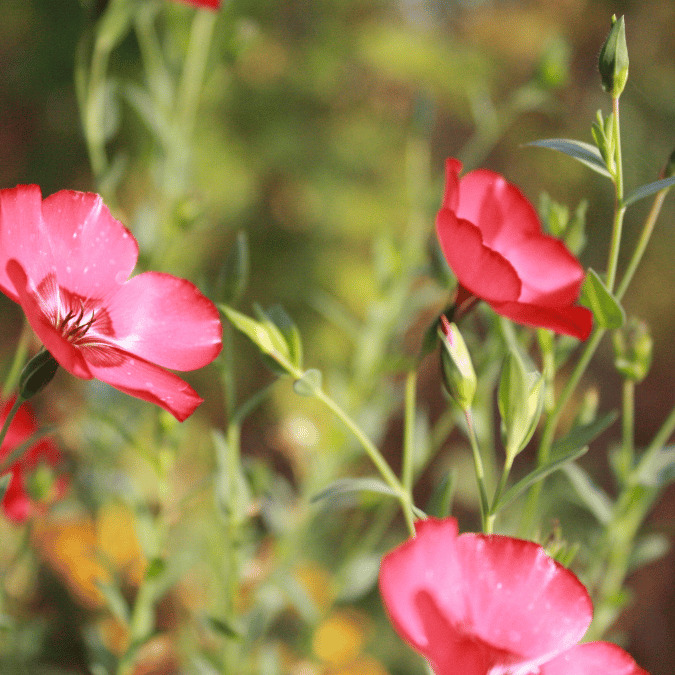 여행 사진을 위한 포즈와 표정 가이드