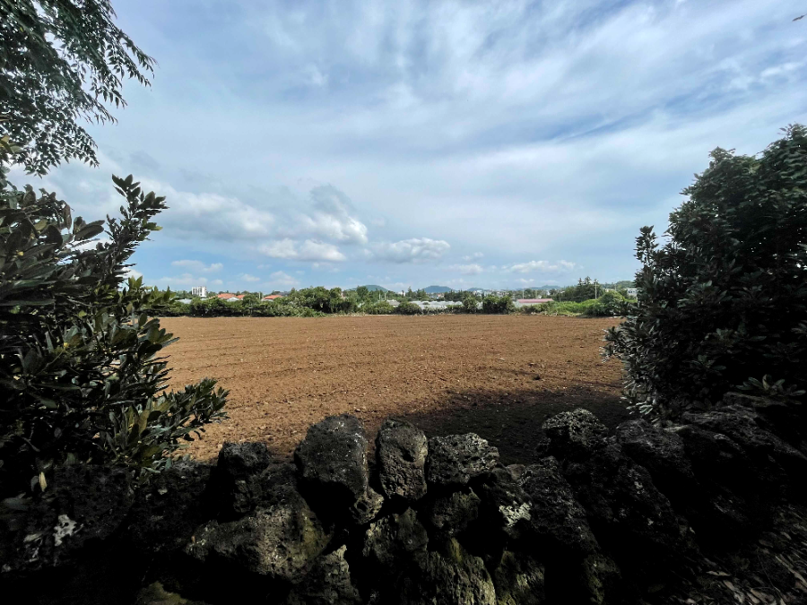 제주 대정읍 풍광