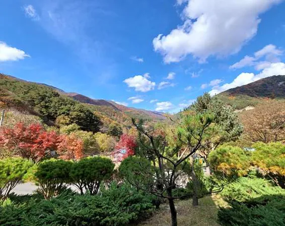 하늘산방펜션