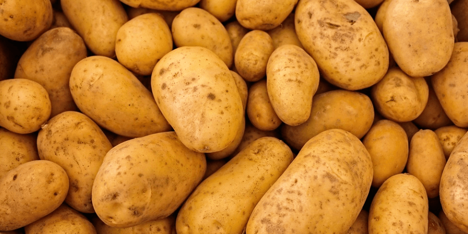 감자가 쌓여 있다