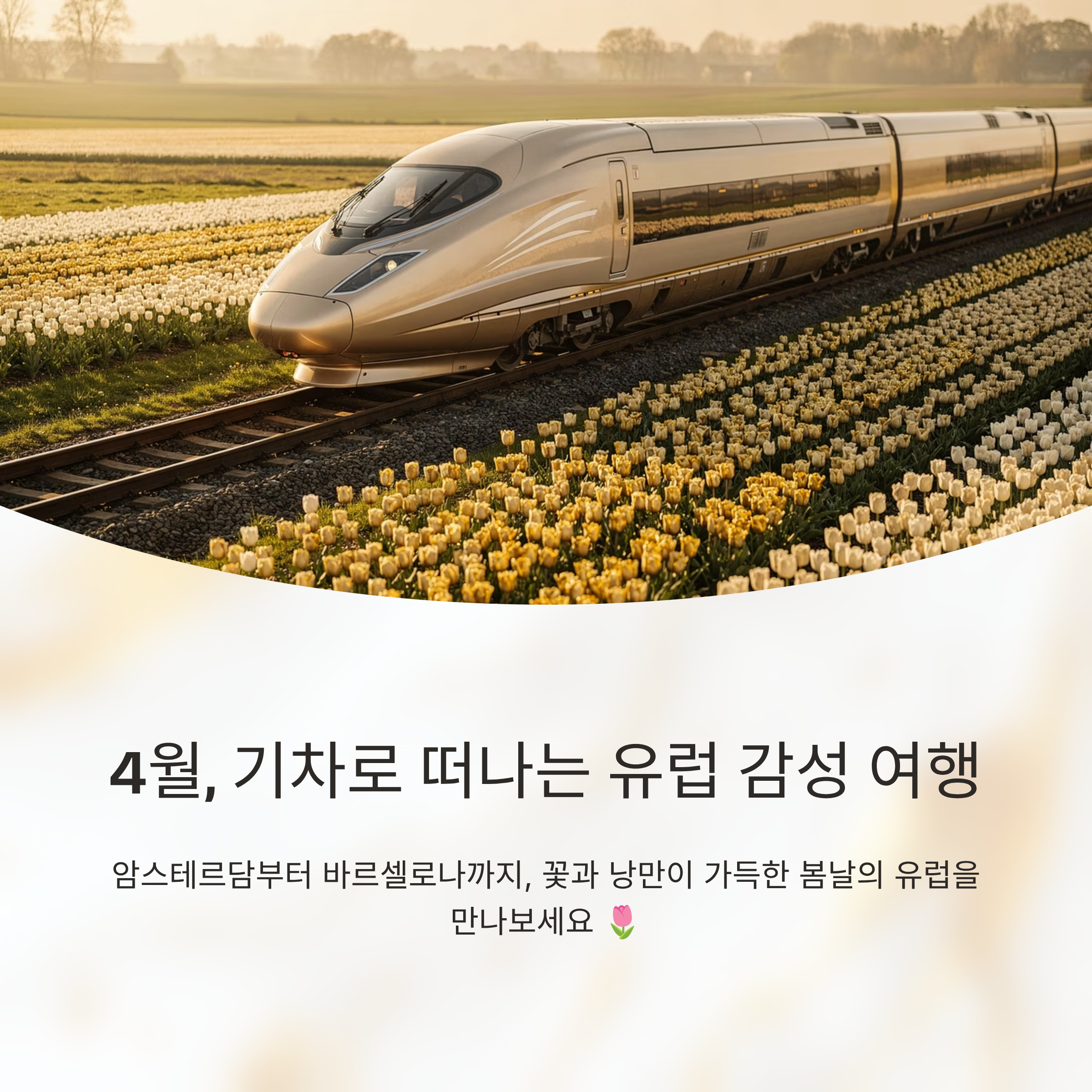 4월에 떠나는 유럽 기차 여행 루트 추천: 암스테르담부터 바르셀로나까지