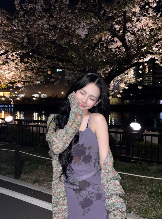 카리나 벚꽃 인스타
