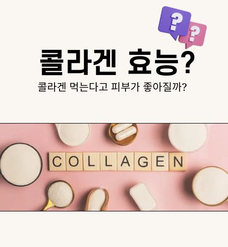 콜라겐 효능이 있을까?