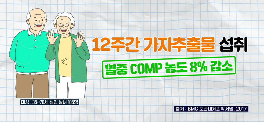 가자추출물 효능