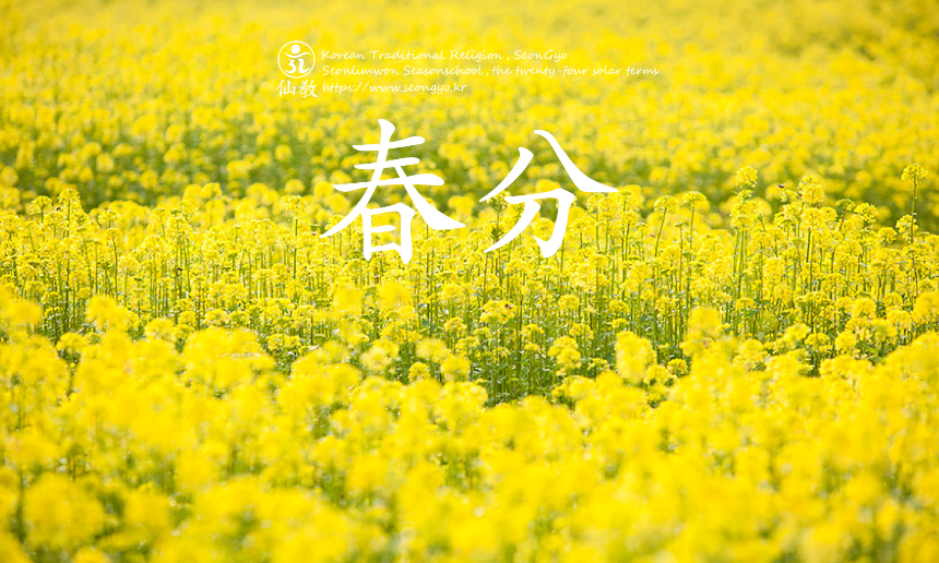 계절의 변화를 세분화한 24 절기 중 '춘분' 이해하기