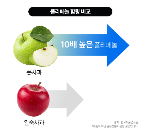 여름 옥택연 파란통 다이어트 효능&amp;#44; 부작용&amp;#44; 후기 총 정리!