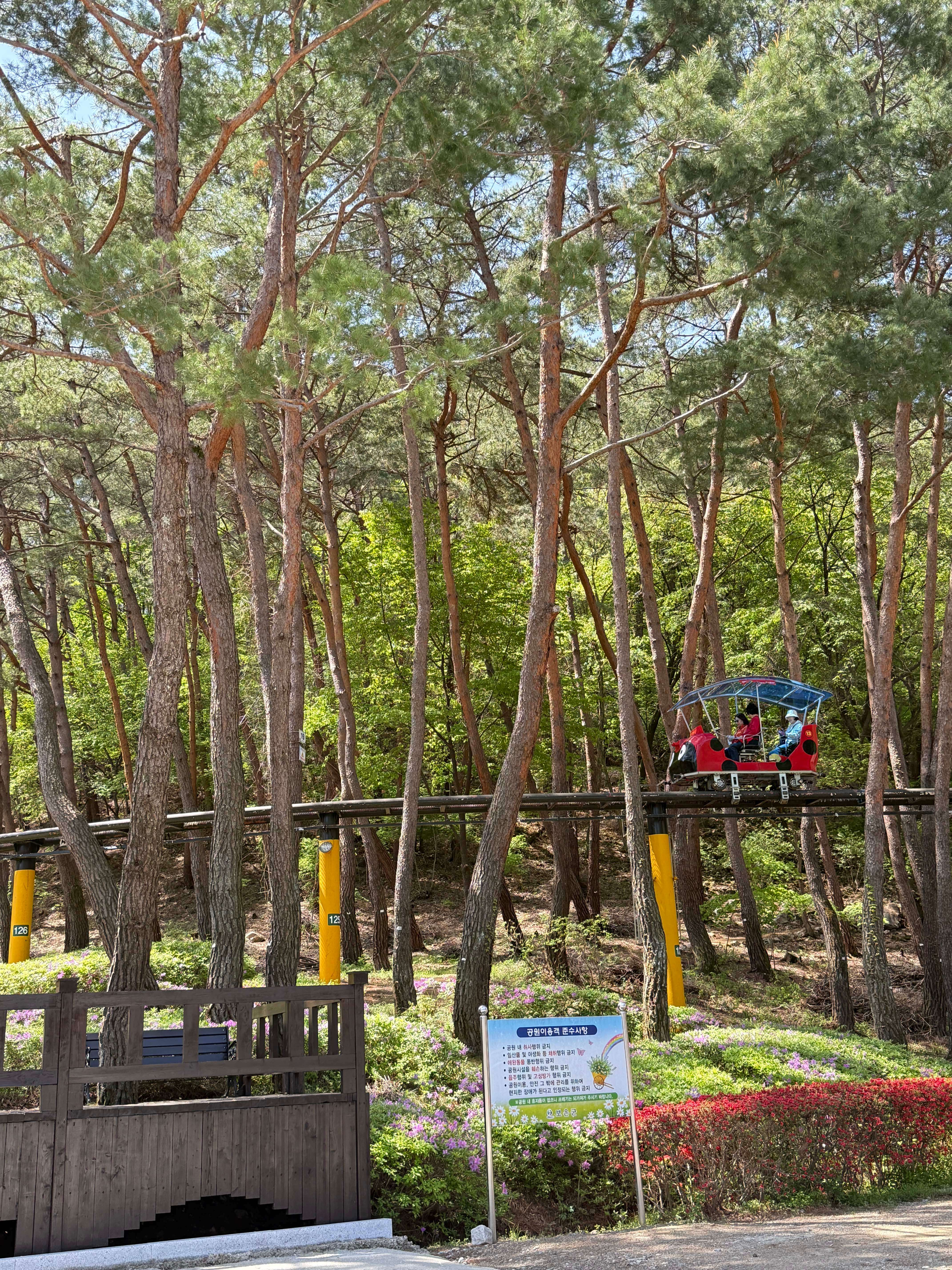 속리산 레일바이크