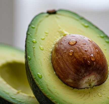신선한 아보카도 사진