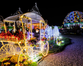 고흥 유자 축제_7