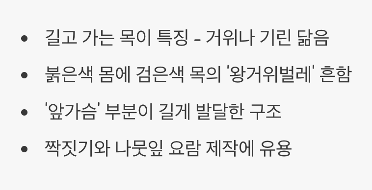 기린을 닮은 곤충, '거위목'의 비밀