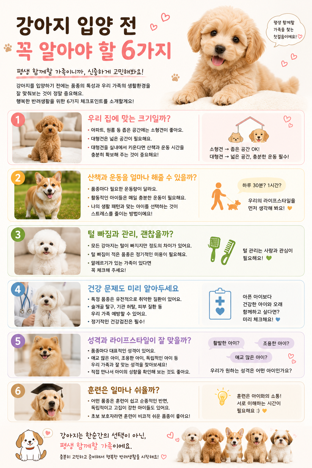 강아지 입양