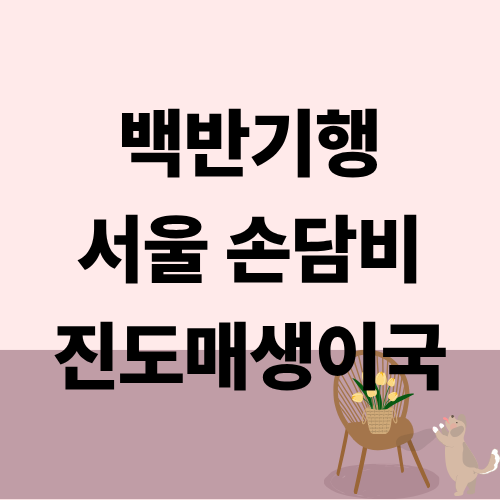 백반기행 서울 진도매생이국 손담비