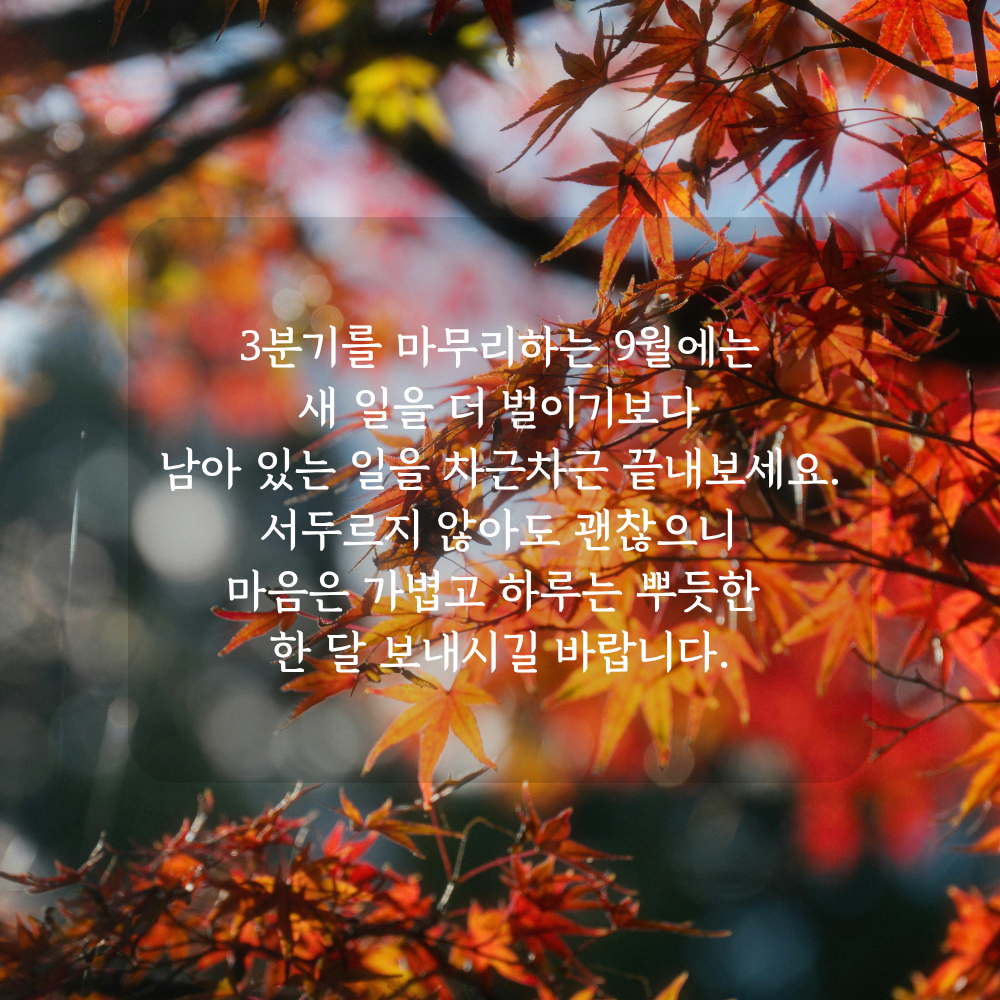 9월 3분기 마무리 인사말 - 미뤄둔 일 차분히 정리하기