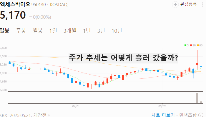 코로나 관련주 대장주 진단키트 테마주 TOP5