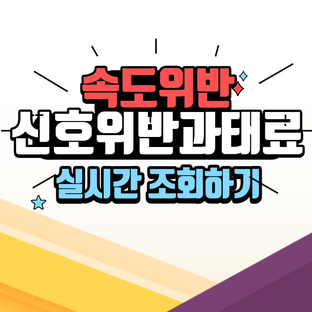 신호위반 속도위반 과태료 실시간 조회