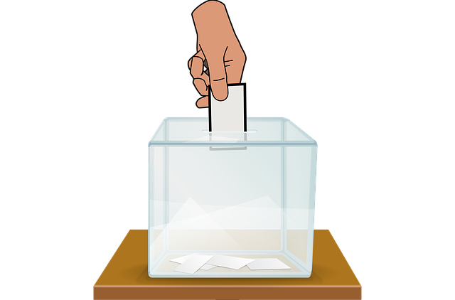 2025 대선 사전투표 날짜 확인하기