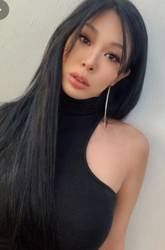 가수 제시 일행 사진 요청한 10대 폭행