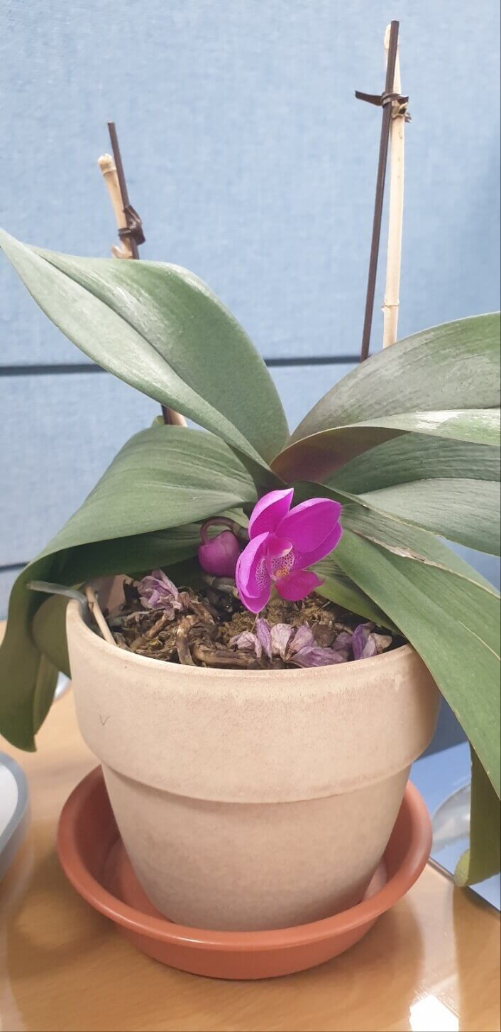 끈기 명언 인내 도전 꾸준함 