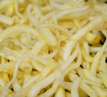 도라지 효능 부작용 고르는법 먹는법 꽃 총정리