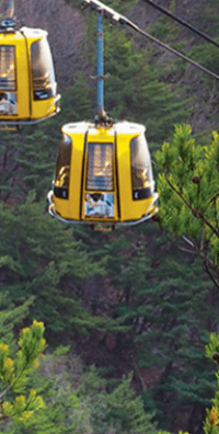 팔공산 케이블카 예약