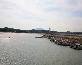 남당항 새조개 축제_21