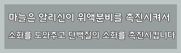  마늘은 알리신이 위액분비를 촉진시켜서 소화를 도와주고 단백질의 소화를 촉진시킵니다