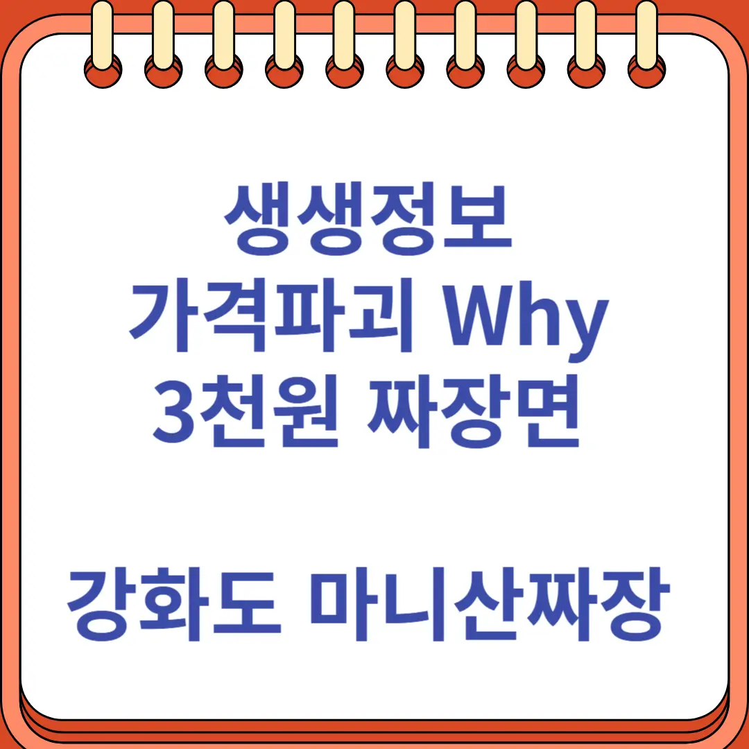 생생정보 가격파괴 Why 3천원 강화도 중식당 마니산짜장