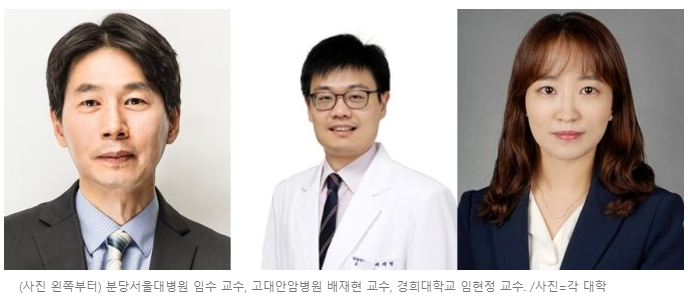 분당서울대병원 내분비대사내과 임수 교수, 고대안암병원 내분비내과 배재현 교수, 경희대 의학영양학과 임현정 교수